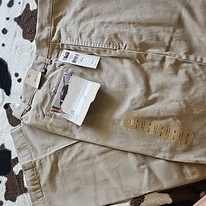 chino dresd pants